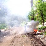 धरान र इटहरी उपमहानगरको फोहोरः नागरिकलाई रोग, पर्यावरण चौपट