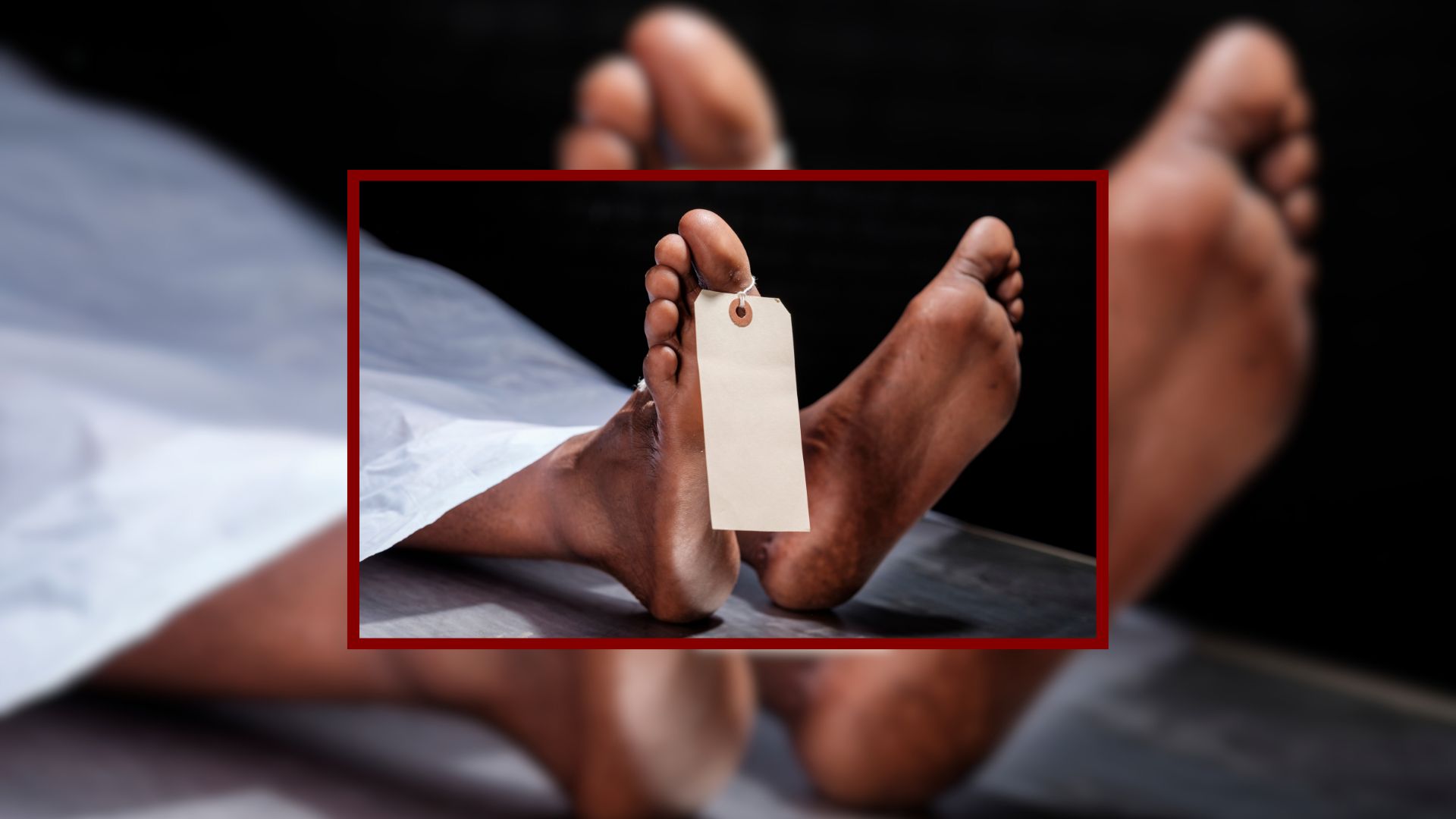 पाल्पाको रिब्दीकोटमा श्रीमान–श्रीमती मृत फेला